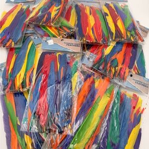 Rainbow Craft Feathers - Vibrant Multicolor Lot - 21 Bags